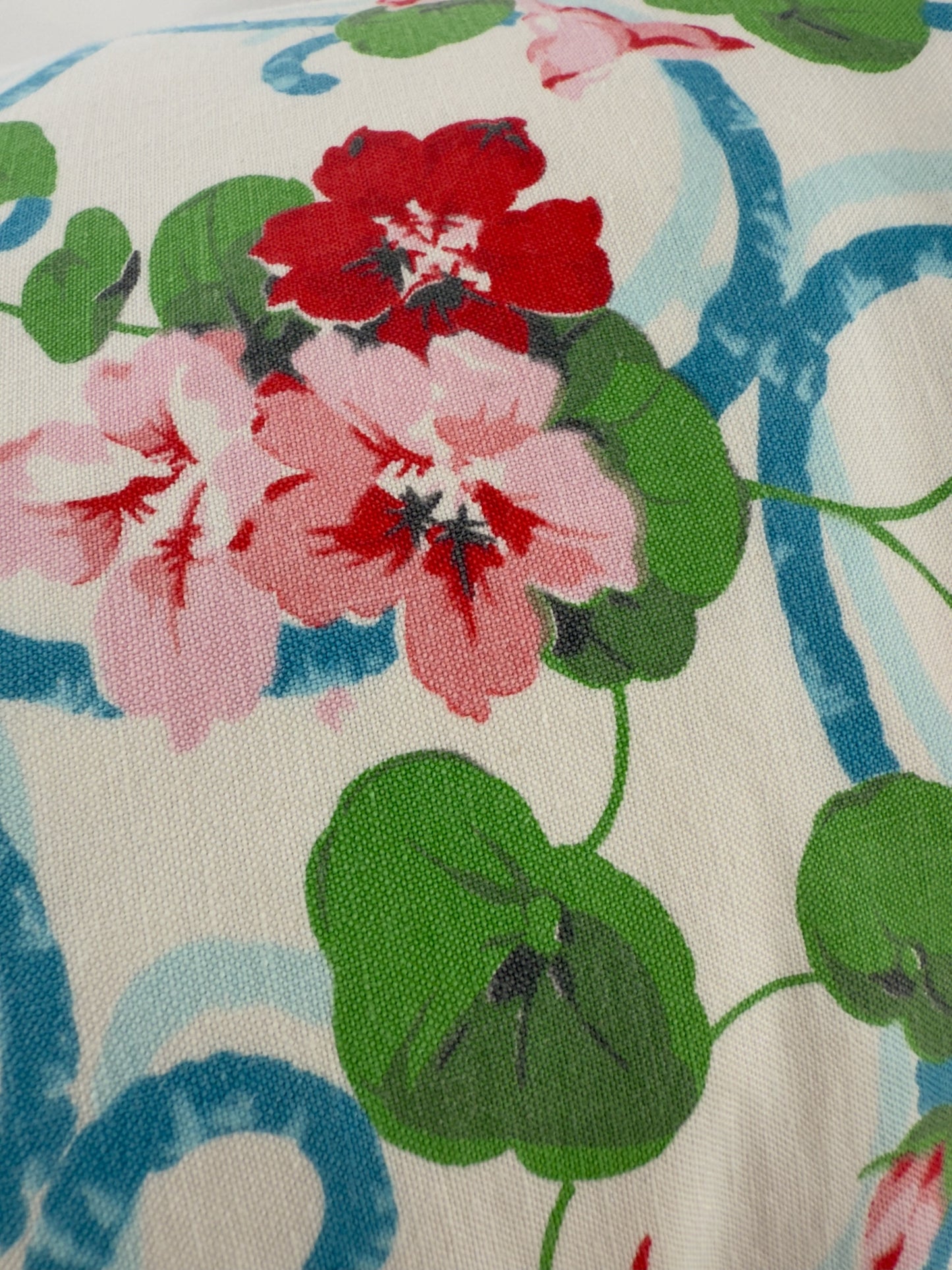 Pink and red nasturtiums with a poppy red velvet image 5